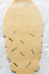 Top view of rolled out rosemary sugar cookie dough, process of making cut out sugar cookies