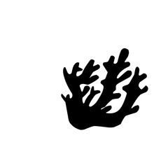 Silhouette Sea Coral 