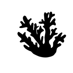 Silhouette Sea Coral 