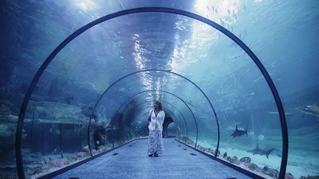 a girl in the tunnel of the oceanarium, fish swim past, the image of unity with the animal world, the search for oneself, communication on one with oneself