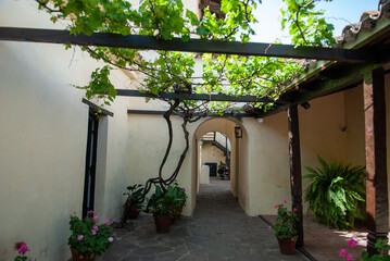 Postcard photograph of old 19th century Caserón hallway in City.