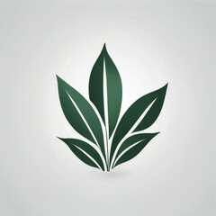 Plants illustration, minimalist, white background