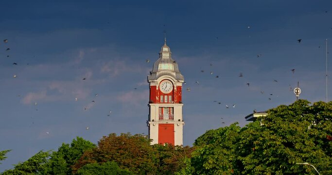 Old tower clock of railway station of Varna city, Bulgaria and flying birds at sunset sky 4K video