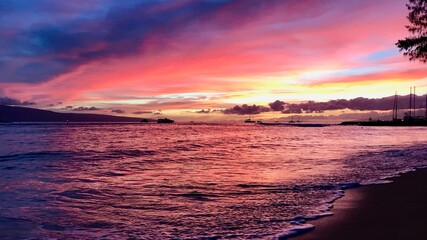 Majestic Maui - A colorful Tapestry of Nature's Splendor