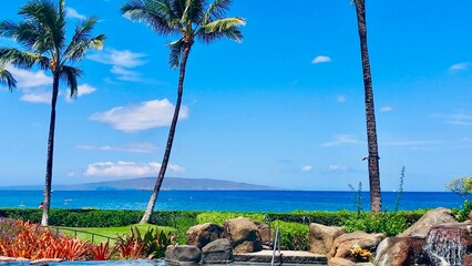 Maui's Paradise Escape - Beach and Palm Oasis in Hawaii