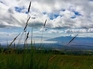 Fototapeta na wymiar Unveiling Maui's Natural Grandeur - Exploring the Landscape