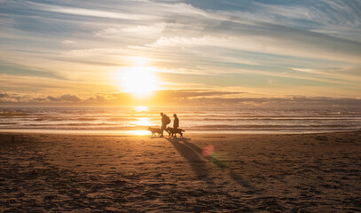 Silhouettes of senior couple with dogs walking along sand beach. Oregon shore beach sunset view...