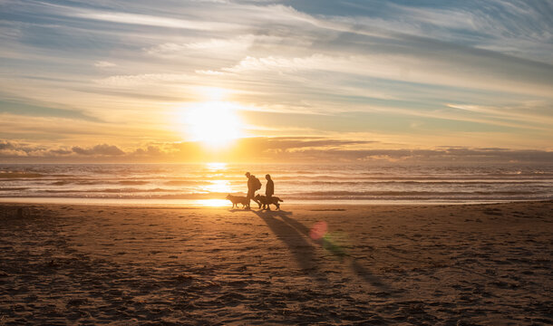 Silhouettes of senior couple with dogs walking along sand beach. Oregon shore beach sunset view with people walking by.