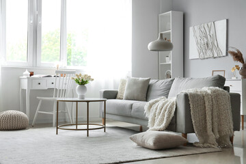 Fototapeta premium Cozy grey sofa with soft blanket and table in interior of light living room