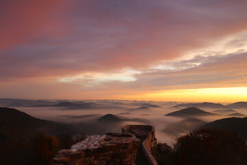 Herbstwald im Sonnenaufgang auf der Wegelenburg