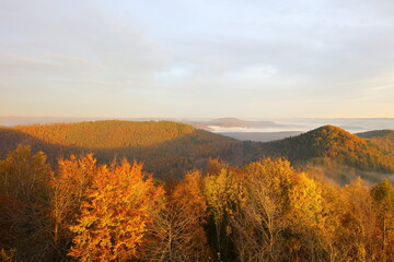 Herbstwald im Sonnenaufgang auf der Wegelenburg