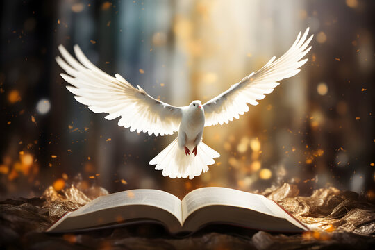 Photo White pigeon fly out of books in beautiful sun light  international day of peace 