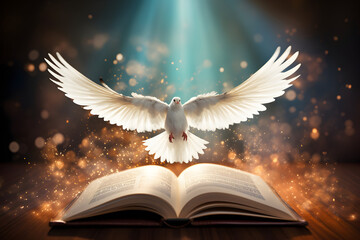 Photo dove fly out of book .freedom concept and international day of peace