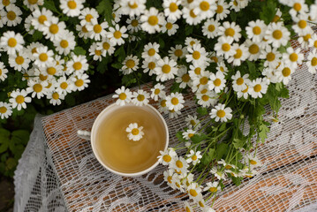 Chamomile tea in a cup on a background of daisies
