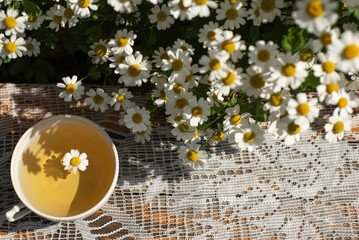 Chamomile tea in a cup on a background of daisies
