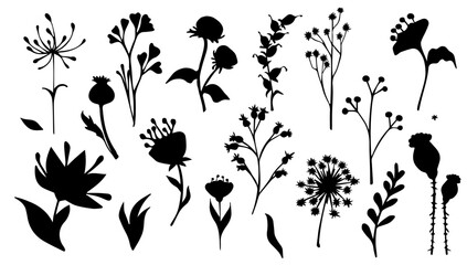 Fototapeta premium Set of silhouettes of botanical elements,flowers,berries,leaves,herbs.Vector graphics.