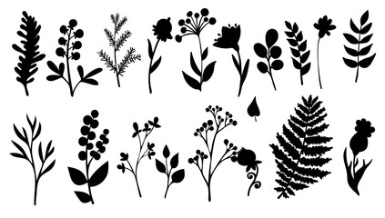 Set of silhouettes of botanical elements,flowers,berries,leaves,herbs.Vector graphics.