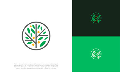 Fototapeta na wymiar Abstract round garden plant natural line symbol. Green branch with leaves business sign. 