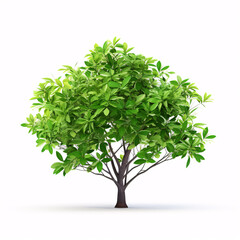 Obraz premium Exquisite tropical flora showcasing a beautiful array of flowers, lush foliage, and charming bushes, all set against a pristine white backdrop.