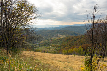 Road in the mountains, Ukrainian Carpathians - 633490964