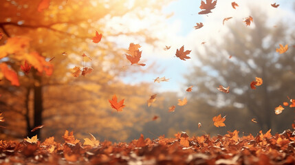 Naklejka na ściany i meble colorful autumn leaves on a windy day