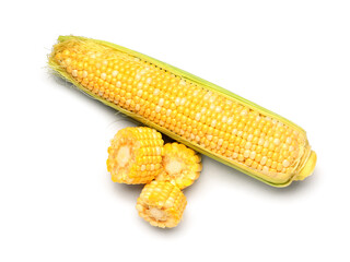 Fresh corn cobs on white background