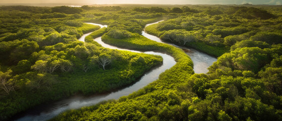 A beautiful swamp - Generative AI