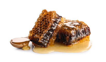 Sweet honeycombs on white background