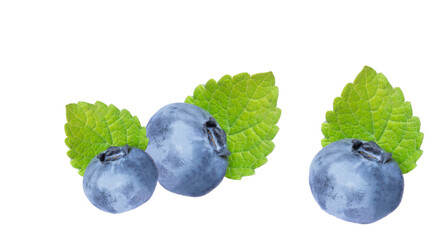 Ripe blueberries with green leaves Lemon balm, common balm or balm mint (Melissa officinalis) isolated on white background. Healthy sweet berry. Concept for healthy eating and lifestyle. Growing