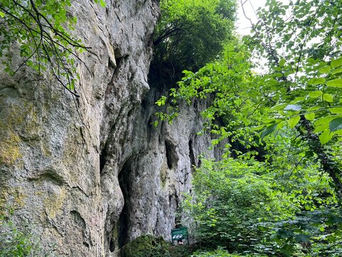 Limestone rocks in Forest park Jankovac - Papuk nature park, Croatia (Vapnenačke stijene u Park &scaron;umi Jankovac ili Živi zid Jankovačke utvrde - Park prirode Papuk, Hrvatska)