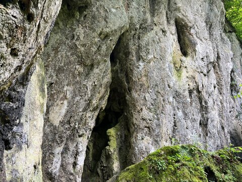 Limestone rocks in Forest park Jankovac - Papuk nature park, Croatia (Vapnenačke stijene u Park &scaron;umi Jankovac ili Živi zid Jankovačke utvrde - Park prirode Papuk, Hrvatska)