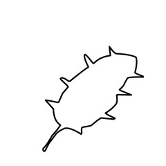 Leaf Outline 