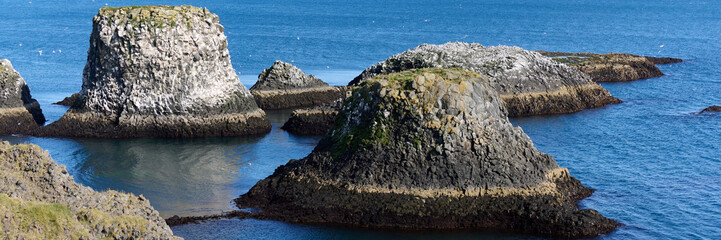 Iceland. Arnarstapi - picturesque volcanic rock cliffs on the Snaefellsnes peninsula. Habitat of seagulls.