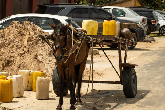 horse and cart