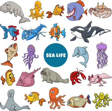 cartoon marine animal characters big set