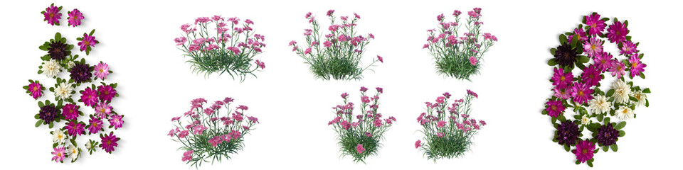 transparent 3D colorful flowers Collection