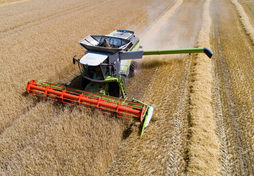 Drohnenfoto - Mähdrescher bei der Ernte auf einen Getreidefeld, das Rohr zum Getreide ablassen ist ausgefahren.