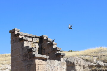 Kayseri's bird house (kuşluk) © cagdasedinsel
