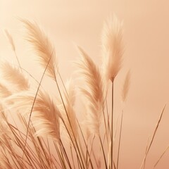 Obraz premium Abstract natural background of soft plants Cortaderia selloana. Pampas grass on a blurry bokeh, Dry reeds boho style. Fluffy stems of tall grass. ai generative