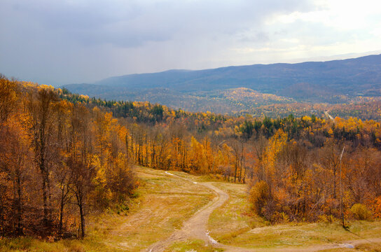 maple leaf Autumn Fall forest background blue sky landscape