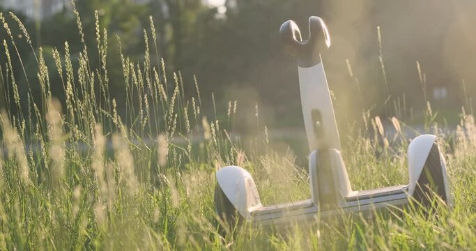 Self-balancing electric hoverboard, gyroscooter stands among tall green grass in rays of setting sun, panning. Concept of future ecological electric transport.