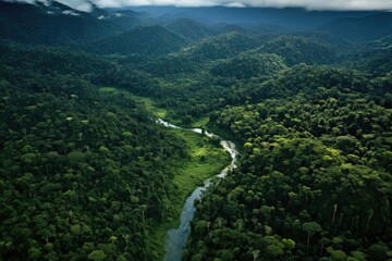 Fototapeta na wymiar aerial view of lush, protected rainforest landscape