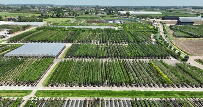 Aerial shot of tree nursery plantation in The Netherlands.