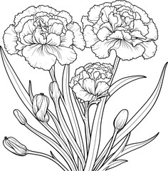 Flower Illustration