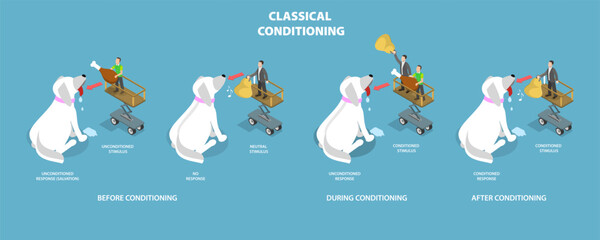 3D Isometric Flat Vector Conceptual Illustration of Classical Conditioning, Pavlovian Respondent Learn Scheme