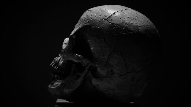 Rotation of human skull on black backround