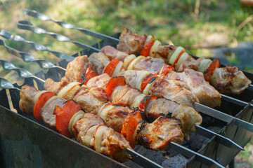 Grilled pieces of meat on skewers, shish kebab with vegetables, cooking process on fire, on brazier. Roasted marinated meat cooked at barbecue, picnic in summer day.