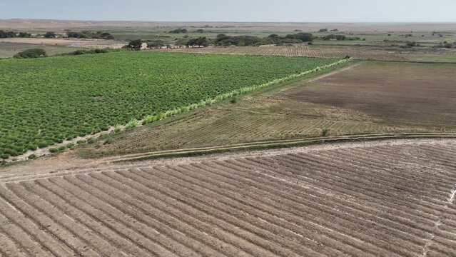 Landscape of plowed up land on an agricultural field on a sunny day. Flying over the plowed earth with brown soil. Brown soil. Ground earth dirt priming aerial drone view. Agrarian background
