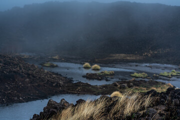 Brushfire Aftermath in Hawaii After Hurricane Lane Reflecting Climate Change 