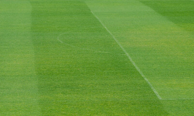 detail of a football field with non-marked lines - obrazy, fototapety, plakaty